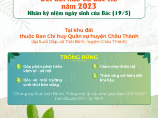 Tây Ninh hưởng ứng phong trào trồng cây “Đời đời nhớ ơn Bác Hồ” năm 2023 nhân kỷ niệm 133 năm ngày sinh của Bác (19/5/1890 - 19/5/2023)